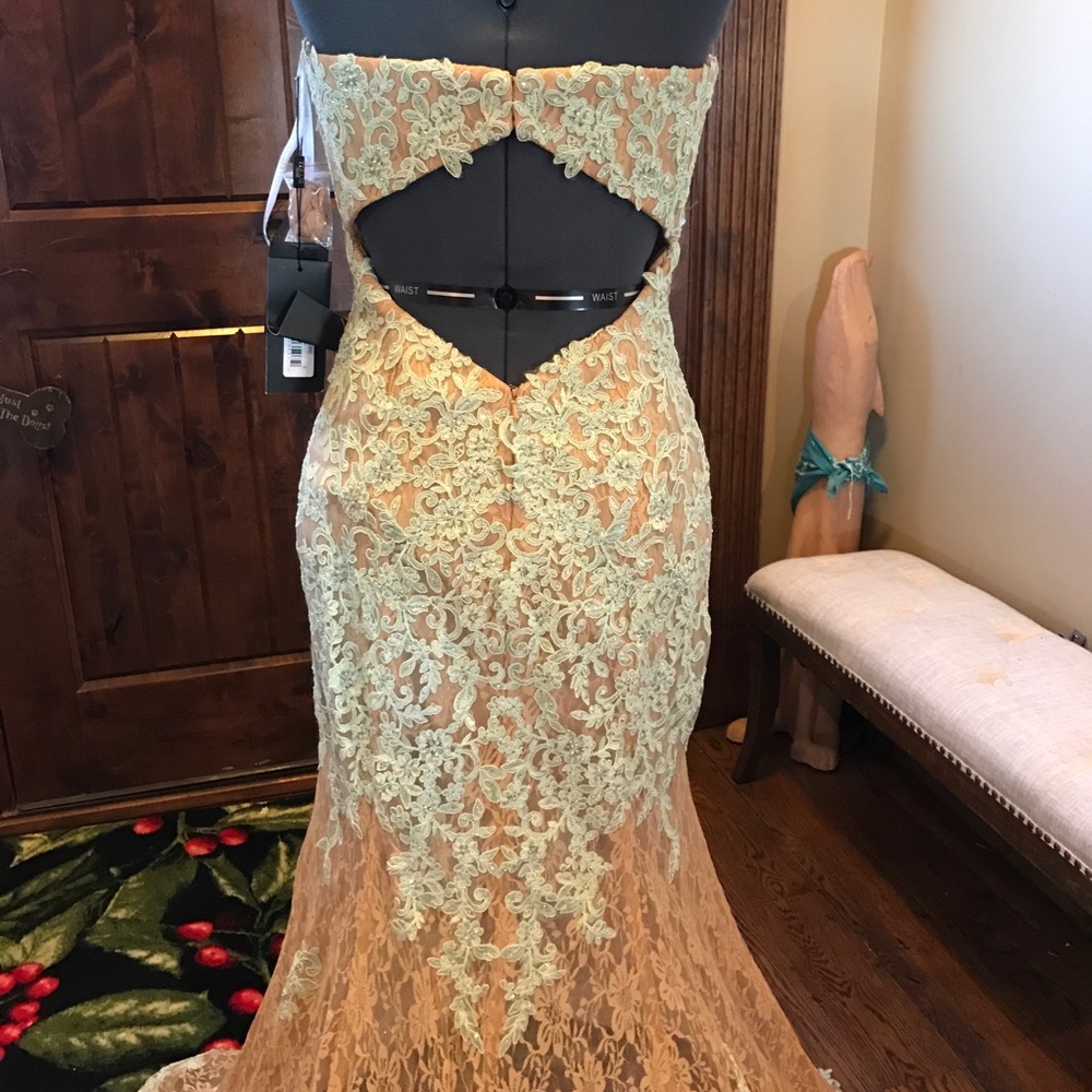 TERANI Lace Illusion Dress NWT - Picture 5 of 7